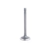 Soupape d’admission Beta Marine Beta 16 | Beta 25 – Phasor K2-4.5