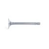 Soupape d’admission Beta Marine Beta 16 | Beta 25 – Phasor K2-4.5