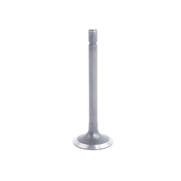 Soupape d’échappement Beta Marine Beta 16 | Beta 25 – Phasor K2-4.5