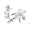 Ensemble de paliers principaux – Beta Marine Beta 10 / Beta 14 / Beta 20 | Nanni N2.10 / N2.14 / N3.21