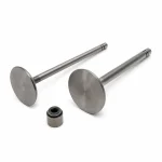 Soupapes