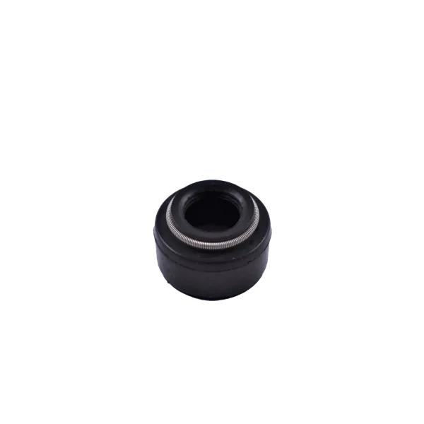 Joints de queue de soupape Solé Diesel Mini 18 – origine d’origine