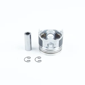 Kit de révision moteur Beta Marine Beta 38 | Beta 45T – Nanni N4.38