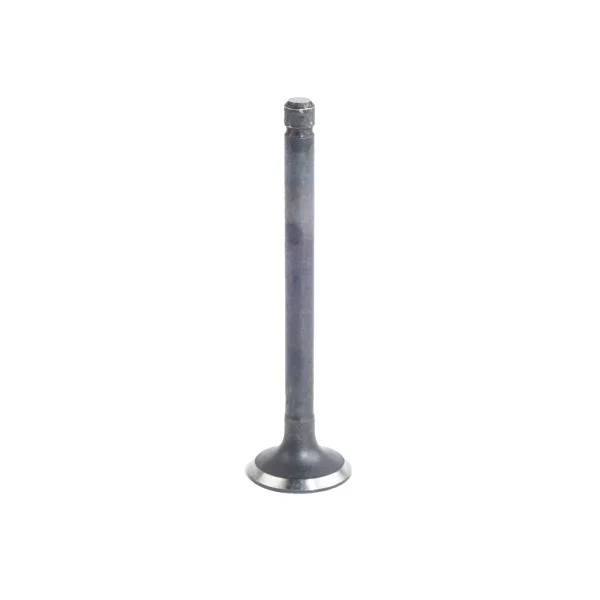 Soupape d’échappement Beta Marine Beta 50 – Nanni N4.50
