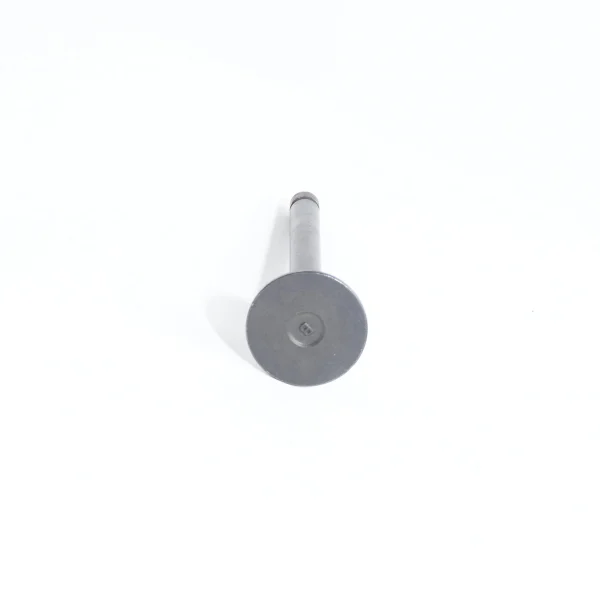 Soupape d’échappement Beta Marine Beta 50 – Nanni N4.50