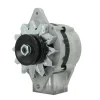 Alternateur Yanmar 2GM 3GM 4JH 4LH 12V 55A