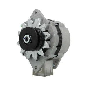 Alternateur Yanmar 2YM 3YM 3JH 4JH 4LH 6LY 12V 80A