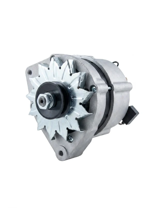Alternateur Nanni N2.14 | N3.21 | 2.45 Eco | 2.50HE | 3.75HE 12V 70A